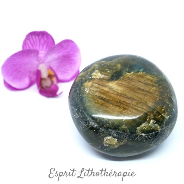 Galet Labradorite 10