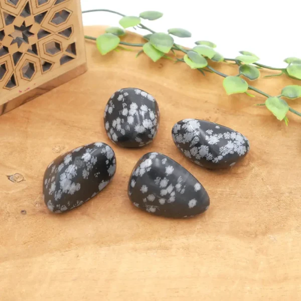 Pierre roulée obsidienne flocon de neige naturelle noire avec inclusions blanches utilisée en lithothérapie pour la protection et l'ancrage