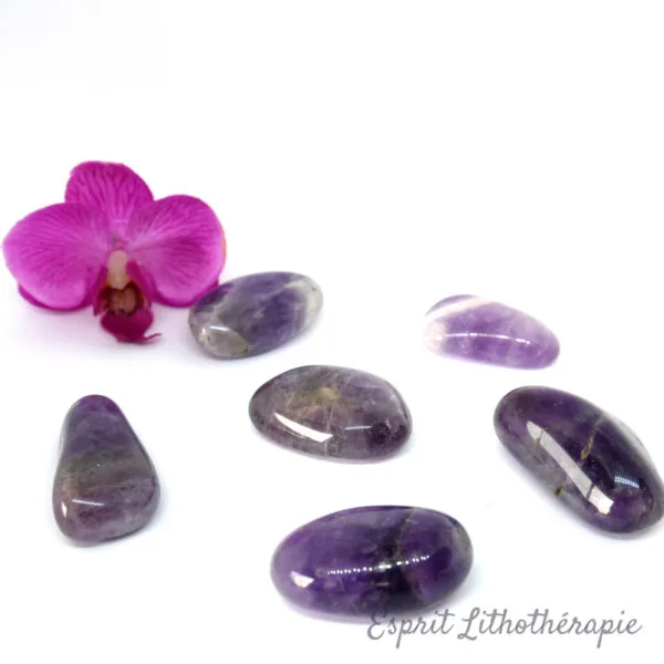 Pierre roulée en améthyste violette polie sur fond clair
