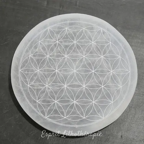 Fleur de vie en sélénite